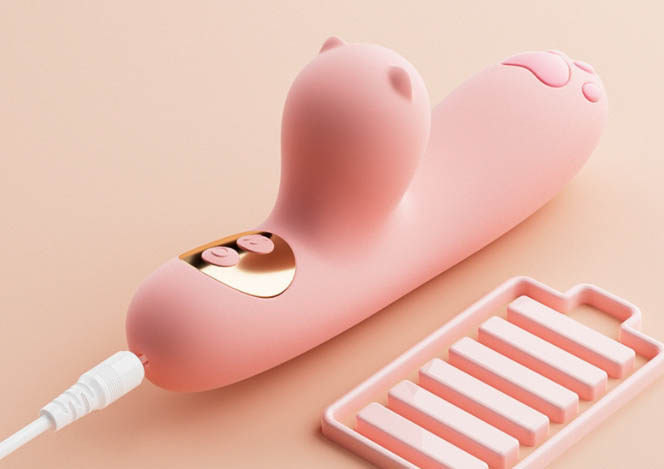 情趣玩具怎么丢弃：如何正确处理不再需要的情趣用品