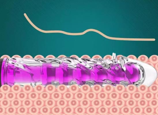 远程女性情趣玩具：远程女性性爱玩具全新体验