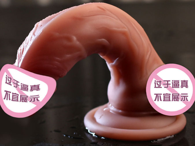 小鸟情趣味玩具：小鸟探索乐趣，玩具新奇玩法
